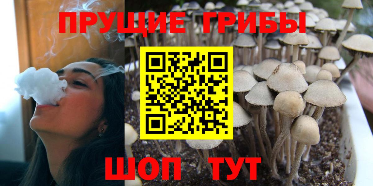 Псилоцибиновые грибы GOLDEN TEACHER  Галлюциногенные грибы GOLDEN TEACHER  Вход с VPN  Реж 
